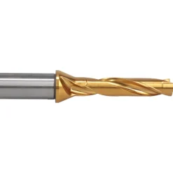 Replaceable-Tip Drill:
