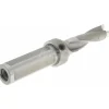 Replaceable-Tip Drill: 20.64 to 21.14 mm Dia, 66 mm Max Depth, 25.4 mm Weldon Flat Shank