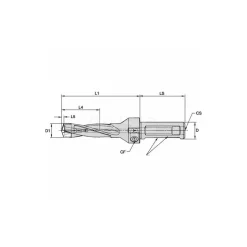 Replaceable-Tip Drill: 17.46 to 17.96 mm Dia, 54 mm Max Depth, 19.05 mm Weldon Flat Shank