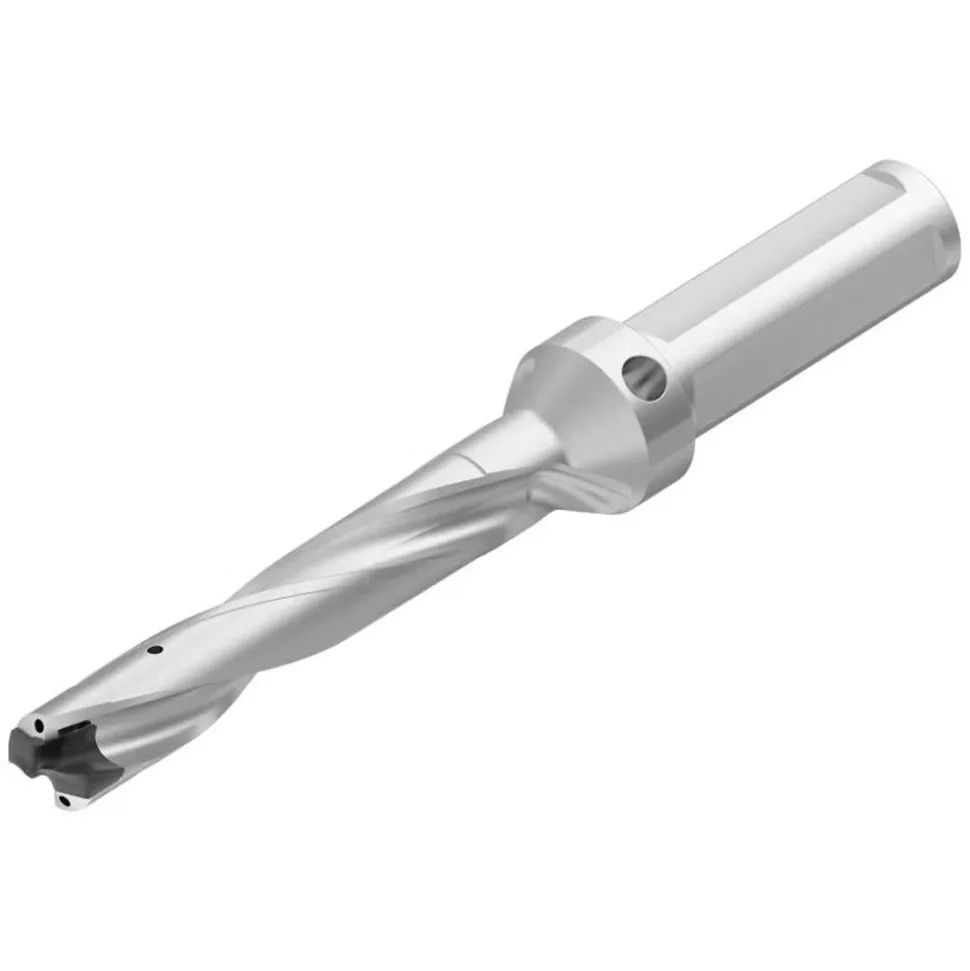 Replaceable-Tip Drill: 28.58 to 29.08 mm Dia, 150 mm Max Depth, 31.75 mm Weldon Flat Shank