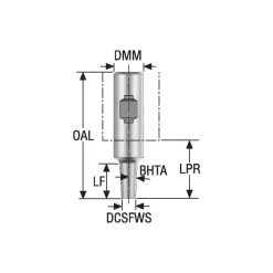 Replaceable Tip Milling Shank: Series Minimaster, 45 mm Projection, 3/4