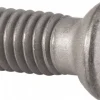 Screw for Indexables: