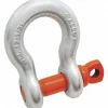 Shackles: Shackle Type: Anchor