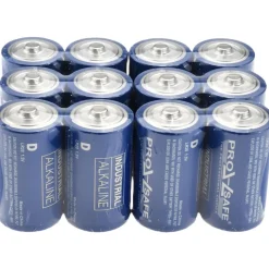 Standard Battery: Size D, Alkaline
