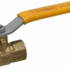 Standard Manual Ball Valve: 1/4" Pipe