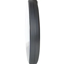 Synchronized Analog Wall Clock, POE IP Network, 13" Dia, 12-Hour, Arial Numeral, 48V DC