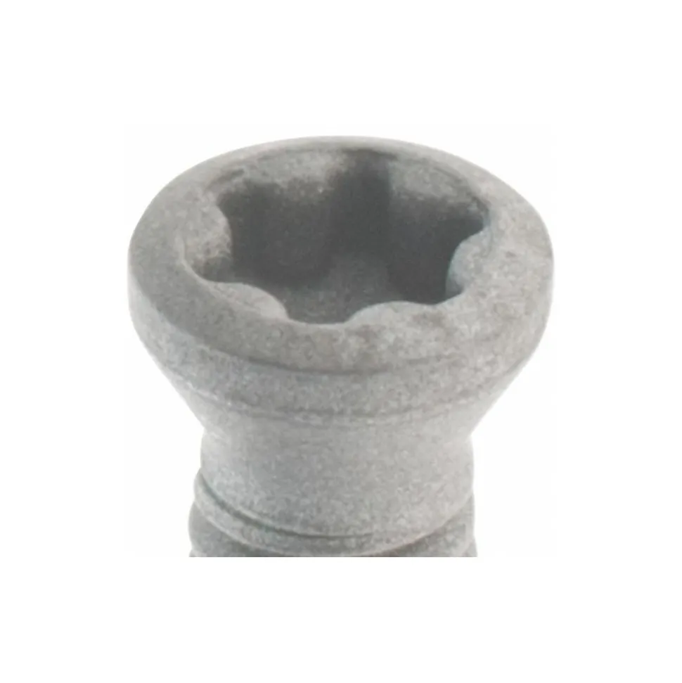 Torx® Screw for Indexables: T8 Torx®