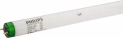 Tubular Fluorescent Lamp: 32 W, T8, Medium Bi-Pin