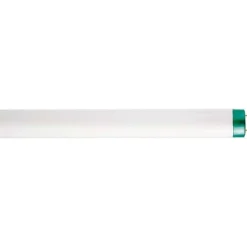 Tubular Fluorescent Lamp: 32 W, T8, Medium Bi-Pin