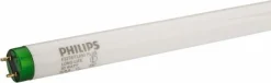 Tubular Fluorescent Lamp: 32 W, T8, Medium Bi-Pin