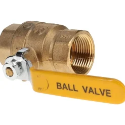 2-Way Manual Ball Valve: 1
