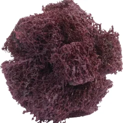 1-1/2 x 1/2" Medium 3 Ply Cross Buff